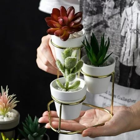 4Pcs/Set Creative Iron Line Flower Plant Vase Pot Sets Dest Flower Plants Stand Holder Desktop Flowe | Walmart (US)