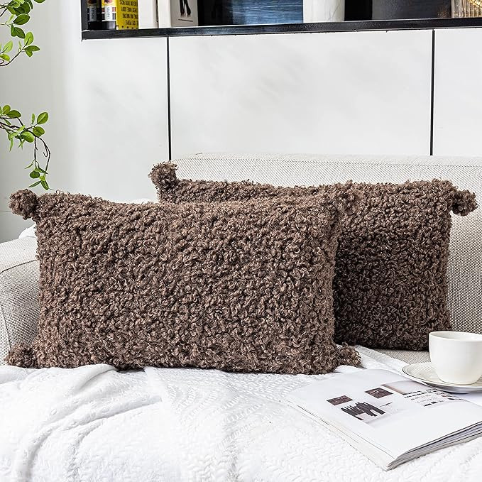 Foindtower 2 Pieces Rectangle Faux Fur Pillow Covers Decorative Curly Wool Lumbar Throw Pillow Ob... | Amazon (US)