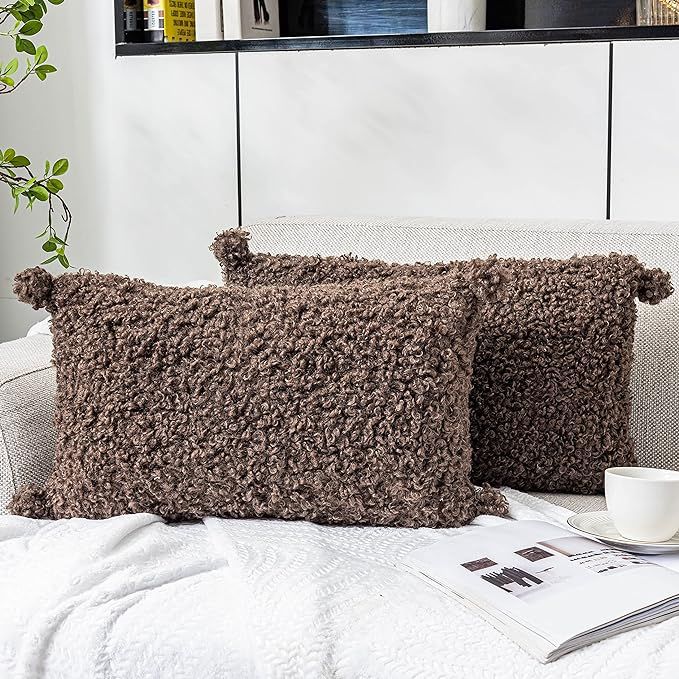 Foindtower 2 Pieces Rectangle Faux Fur Pillow Covers Decorative Curly Wool Lumbar Throw Pillow Ob... | Amazon (US)