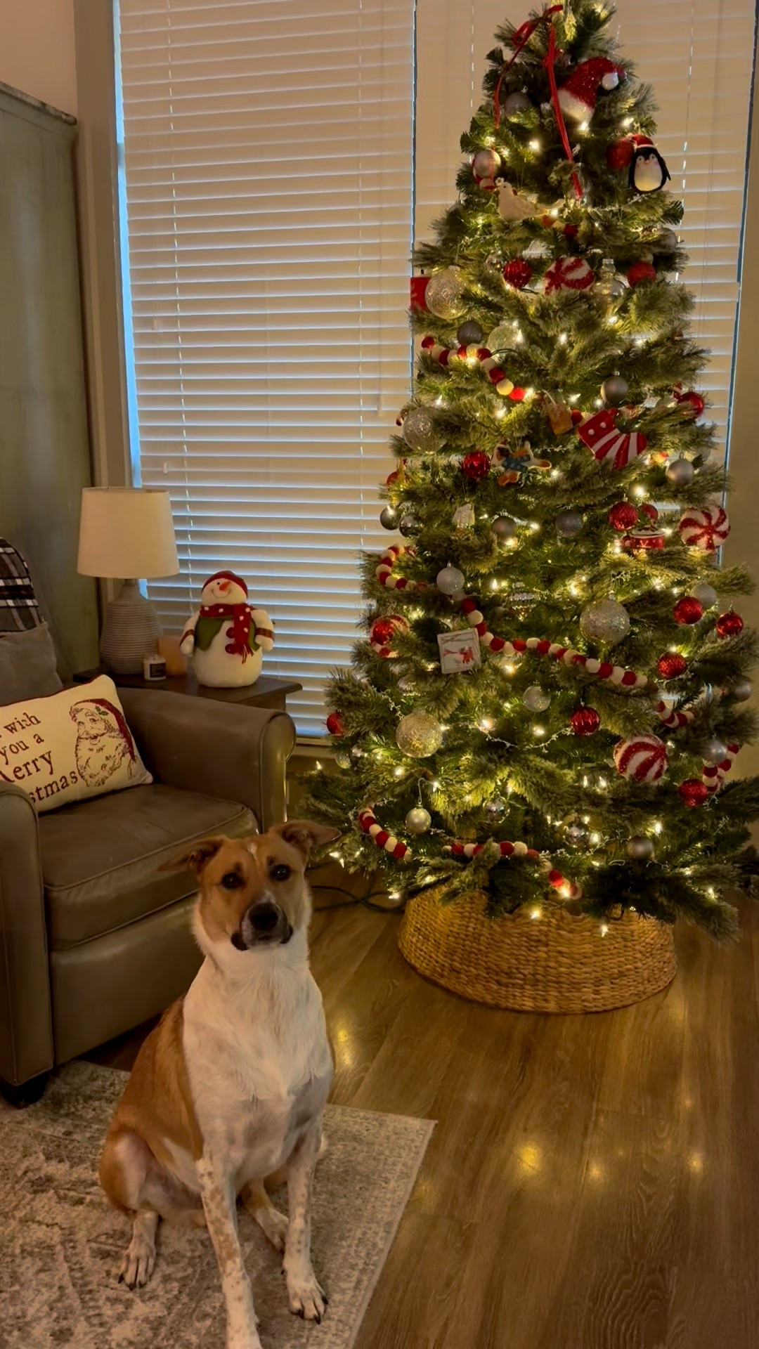 Christmas decor // Christmas tree // ornaments // target // under $100 // tree skirt // felt garland for tree 

#LTKFindsUnder100 #LTKGiftGuide #LTKHoliday