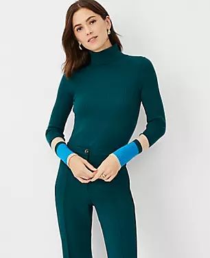 Colorblock Ribbed Turtleneck Sweater | Ann Taylor (US)