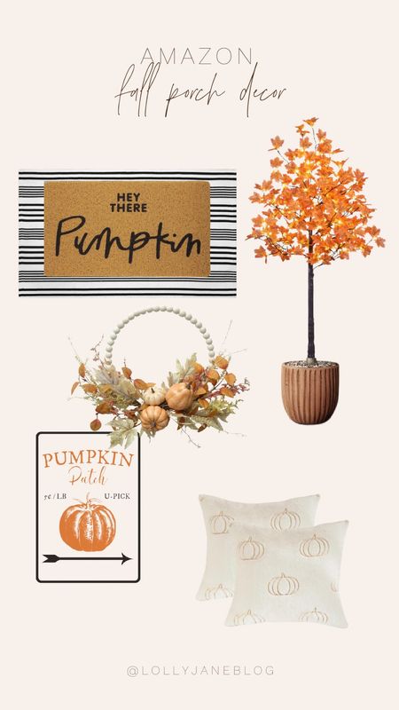 Fall Porch decor! 🍁

In this pic we have the cutest outdoor fall/ pumpkin wreath. It can be made DIY, or you can buy from Amazon. 
This cute pumpkin patch sign is so cute and pairs well the the pumpkin throw pillows. You always need some plants so of course we had to add this cute fall tree! 
To keep to the pumpkin theme we added the “hey there Pumpkin!” Welcome mat with a large under rug. 

Fall is our fav! 🎃🤍

#LTKHoliday #LTKhome #LTKSeasonal
