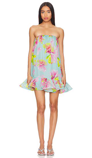 Mini Dress in Blue Floral | Revolve Clothing (Global)