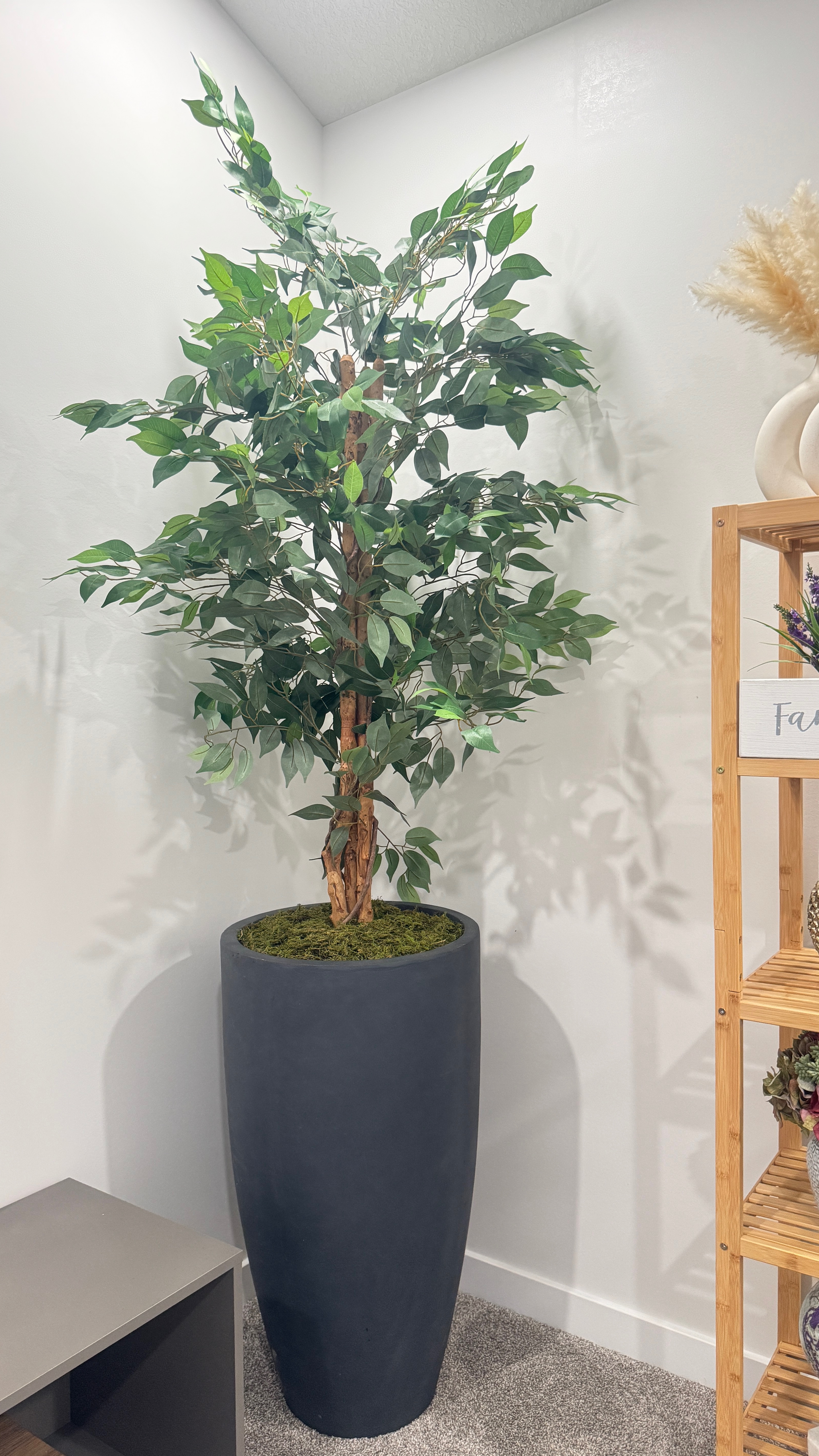 Artificial plant setup 😍 I love how this turned out!
I also linked the storage shelf 