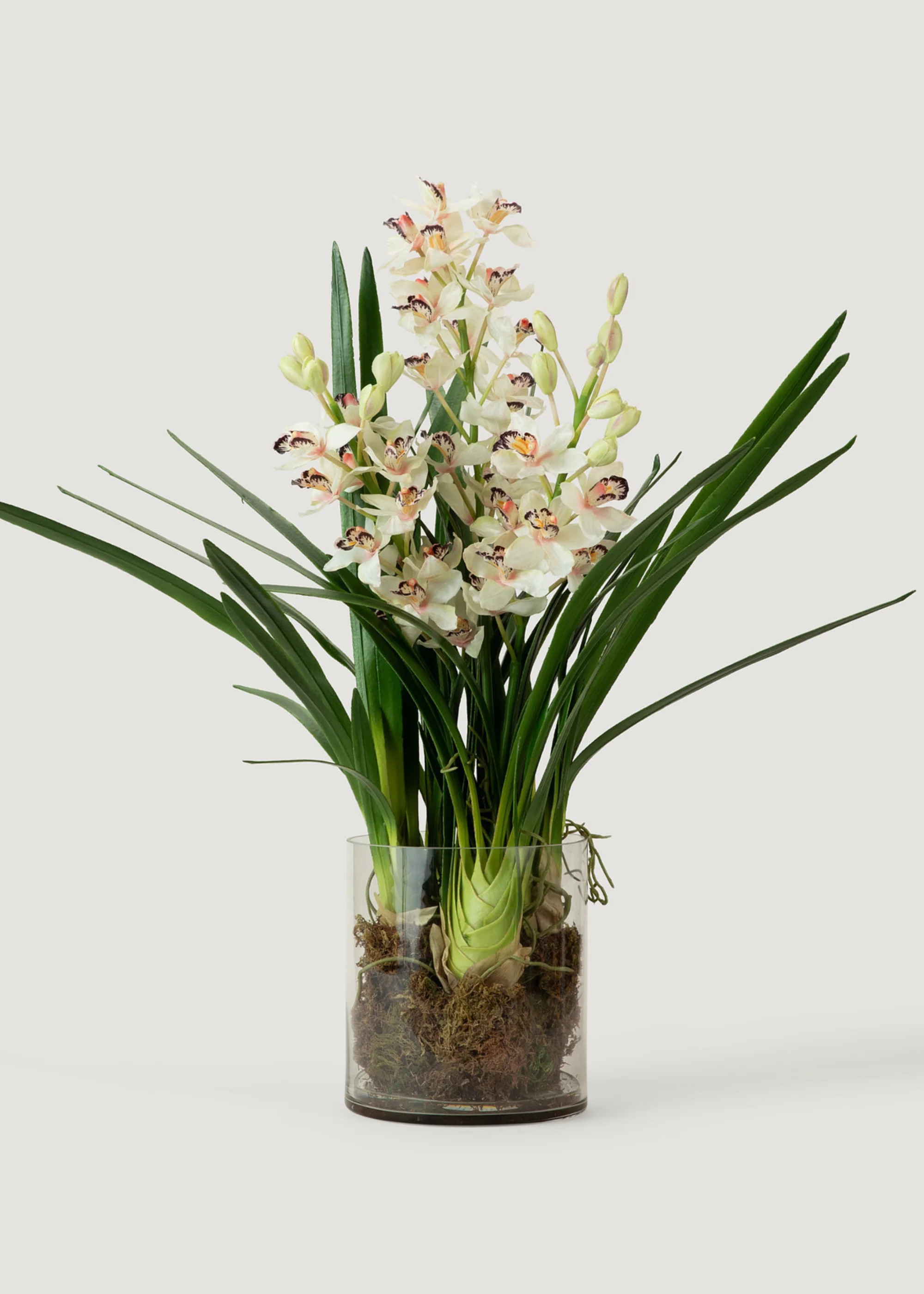 Cymbidium Orchid Potted Fake Plant in Glass Vase - 36 | Afloral