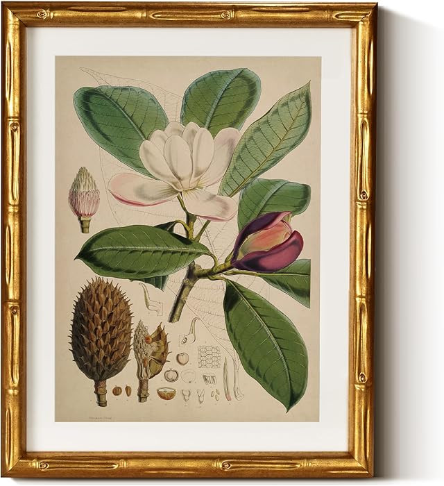 InSimSea Gold Bamboo Framed Canvas Wall Art, Retro Nature Magnolia Botanical Paintings, Antique V... | Amazon (US)