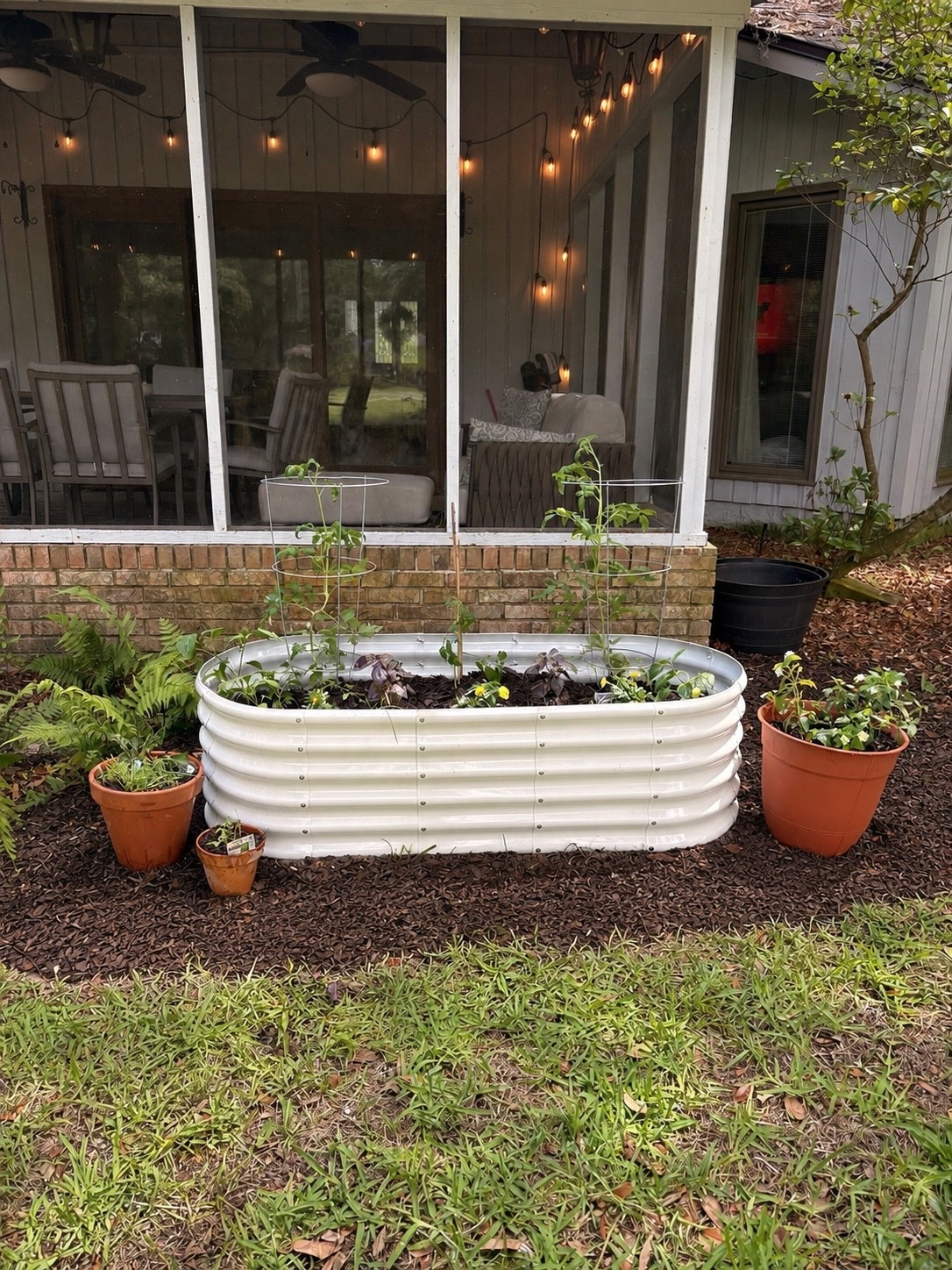 Adding a second bed soon but my outdoor garden bed

#LTKHome #LTKdayinmylife #LTKfoodie