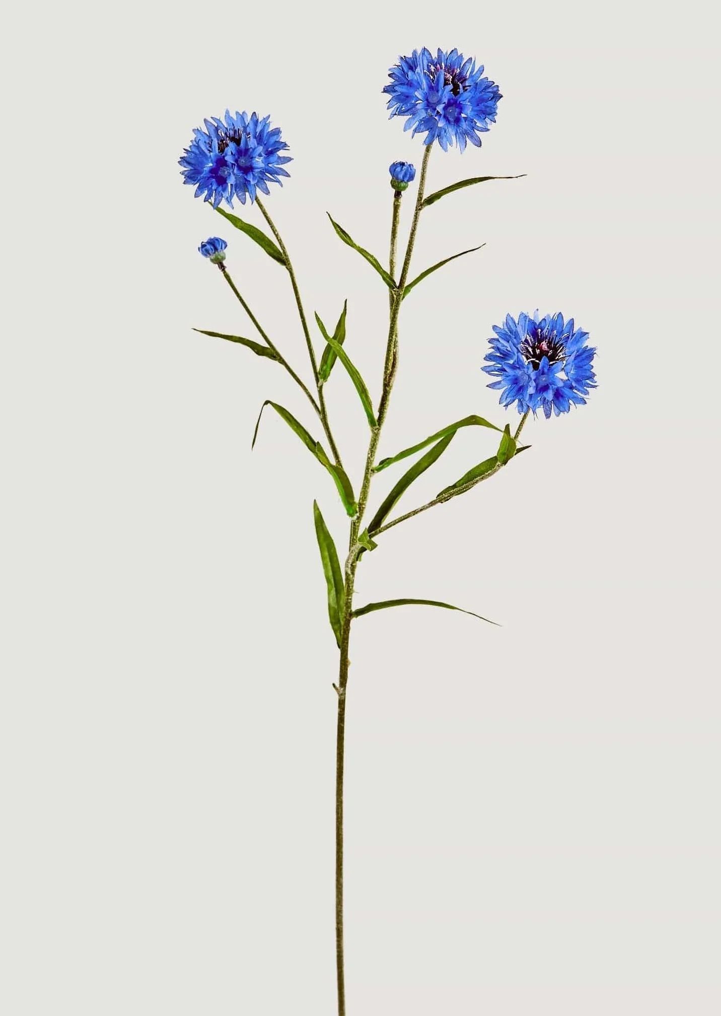 Cornflowers in Blue | Faux Wildflowers | Afloral.com | Afloral