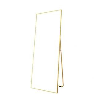 Aoibox 65 in. H x 24 in. W Rectangle Gold Alloy Framed Full Length Wall-Mounted Standing Mirror S... | The Home Depot