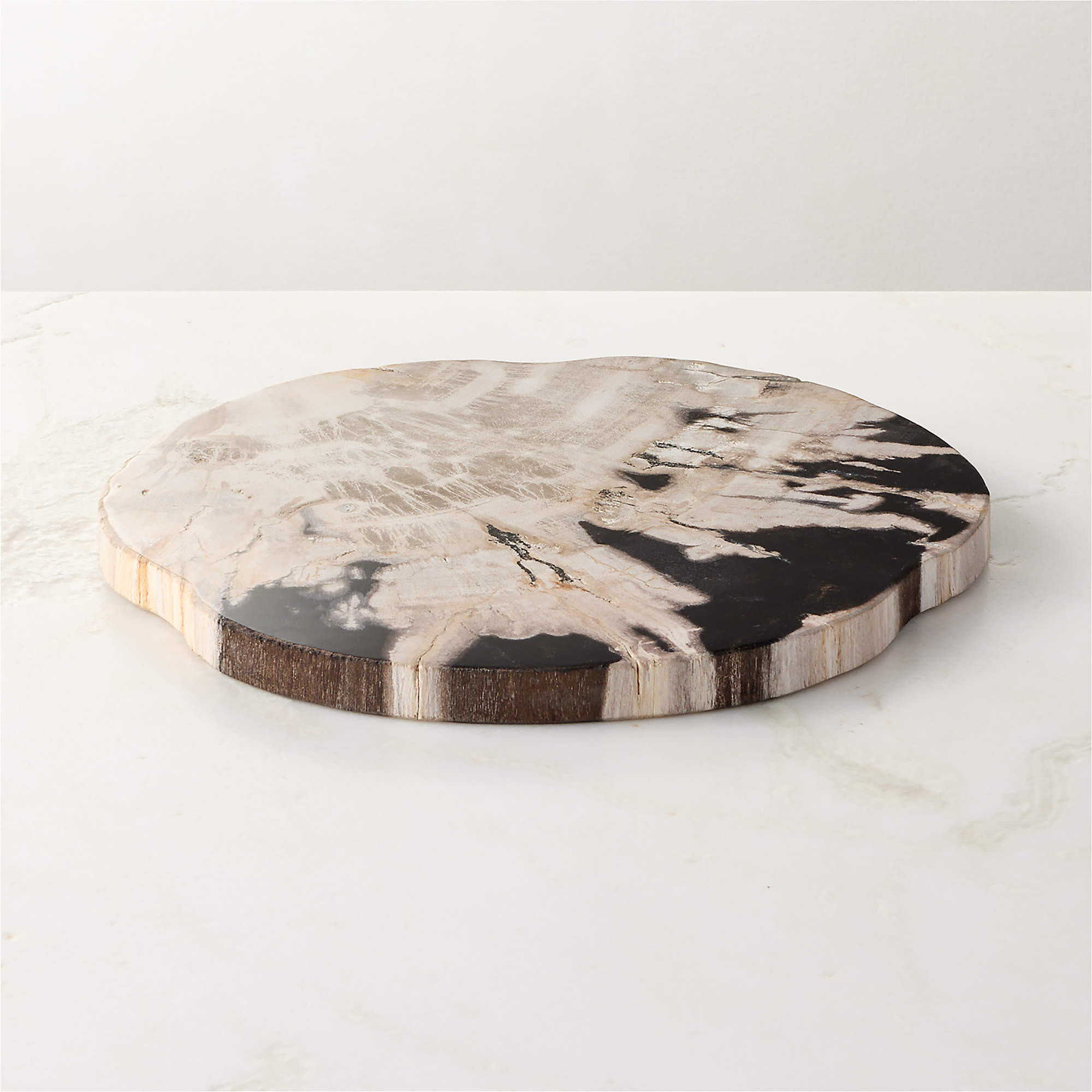 Ring Petrified Wood Serving Board + Reviews | CB2 | CB2