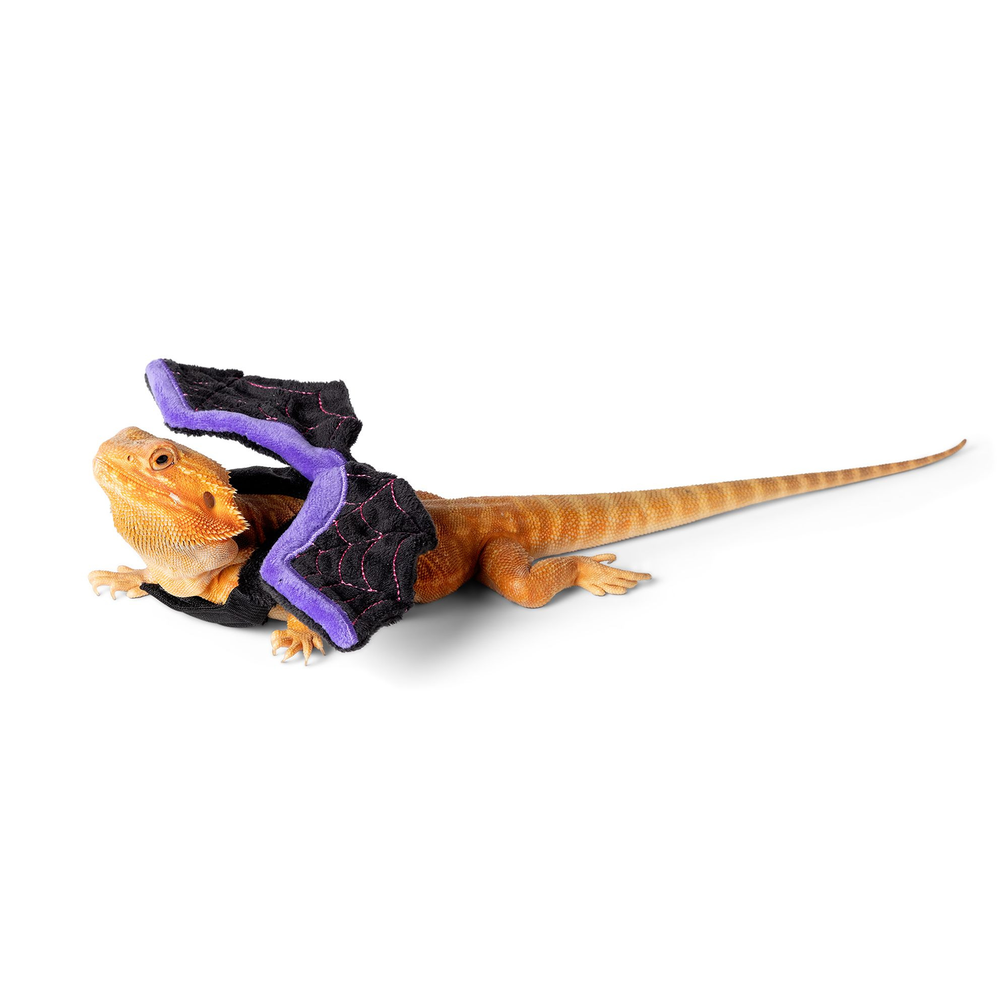 Thrills & Chills® Bat Reptile Costume | PetSmart
