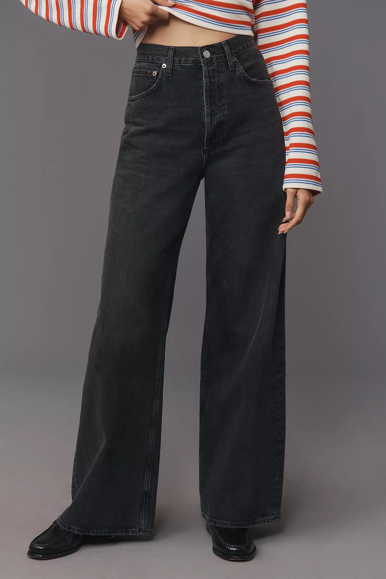 AGOLDE Dame High-Rise Wide-Leg Jeans | Anthropologie (US)