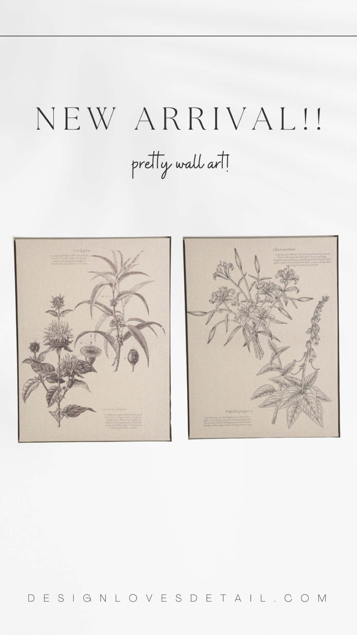 Beautiful & affordable wall art!! Love these together!!

#art #affordable #leaf #marshalls #spring #summer #home #interiordesigner  

#LTKSeasonal #LTKGiftGuide #LTKhome