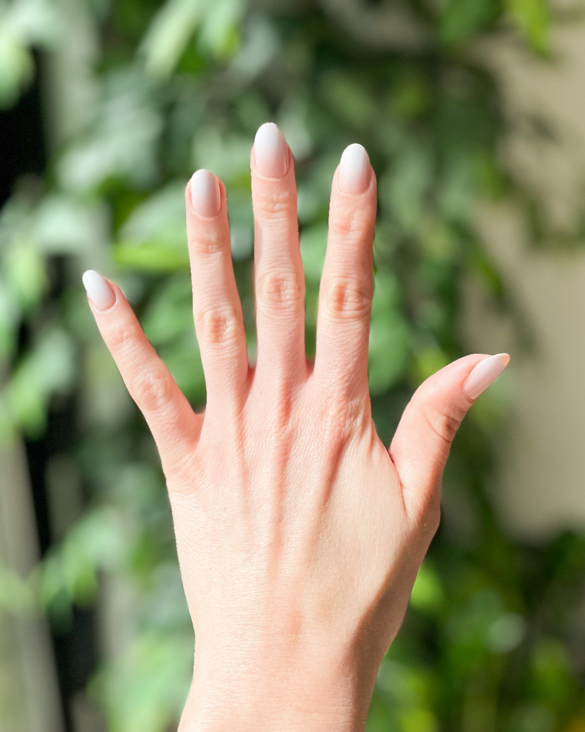 Emily loves press on nails but after trying many brands this one has been her favorite of all time!! Here’s 4 reasons she said she loves these over every other brand:

1. The brush on nail glue is a game changer and so simple to use. 😍
2. The half sizes give you a better fit and she’s never seen that with any other brand. 🙌🏼
3. They’re REUSABLE - so more sustainable and more bang for your buck! 🤯
4. She LOVES the color options! ✨

#LTKstyletip #LTKwedding #LTKbeauty