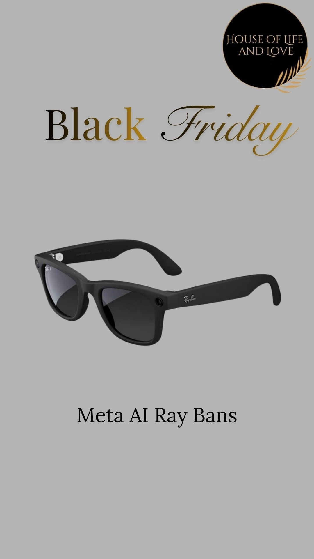 Meta AI Ray Ban glasses 

#LTKGiftGuide #LTKCyberWeek #LTKvlog