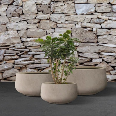 Kante 3 Piece 21.6", 16.9", and 12.5"W Round Concrete Elegant Planters, Outdoor Indoor Modern Planter Pots, Lightweight, Weather Resistant, Seamless w | Wayfair Professional