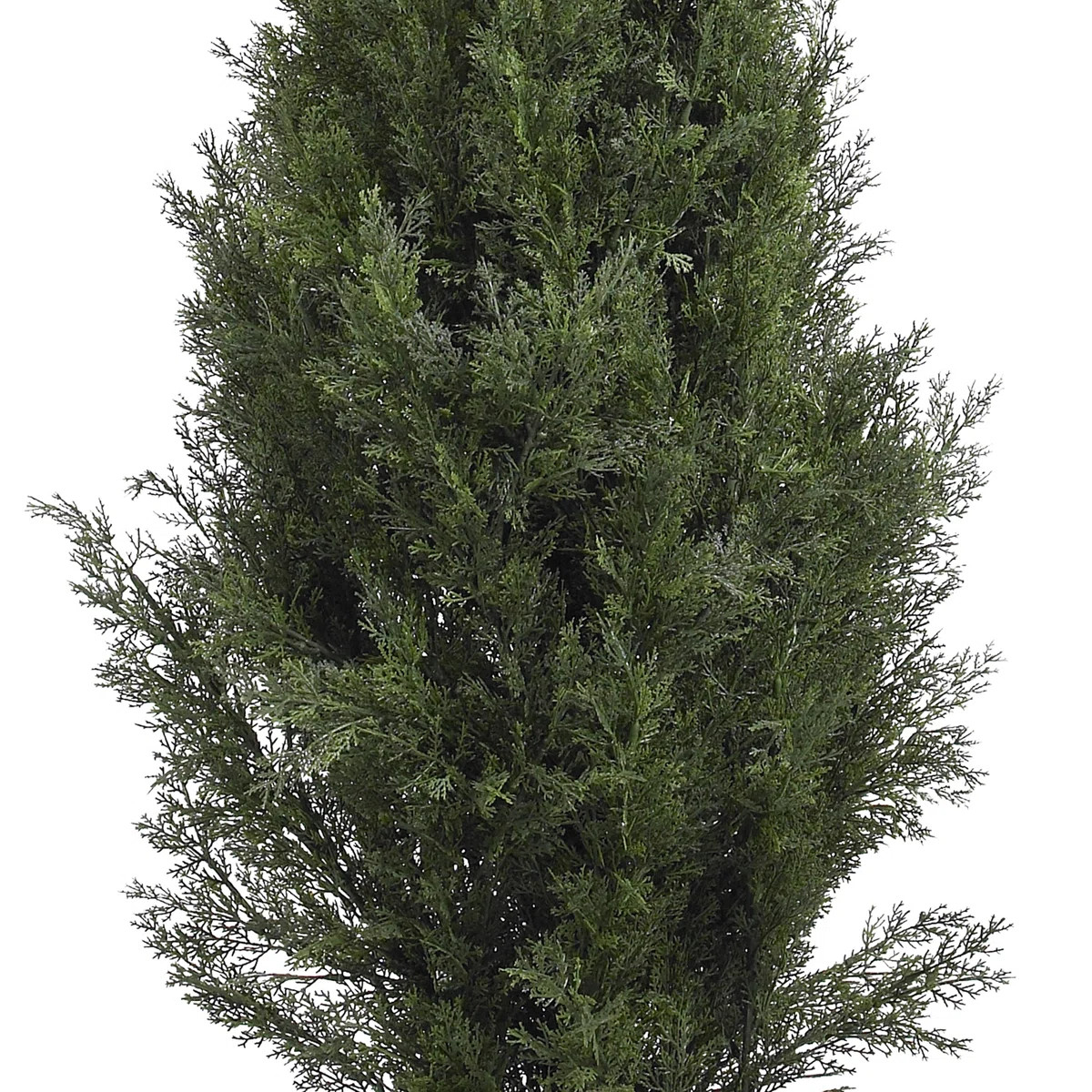 {"@context":"https://schema.org","@type":"BreadcrumbList","itemListElement":[]}Home/SKU: LNPE8161... | Wayfair North America