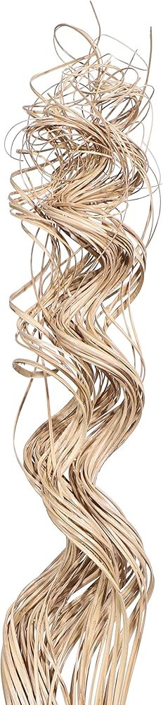 Green Floral Crafts 1 Pack (2 Bundles of 20 Stem) Glitter Sparkle Curly Ting Branches 2 Feet Tall... | Amazon (US)