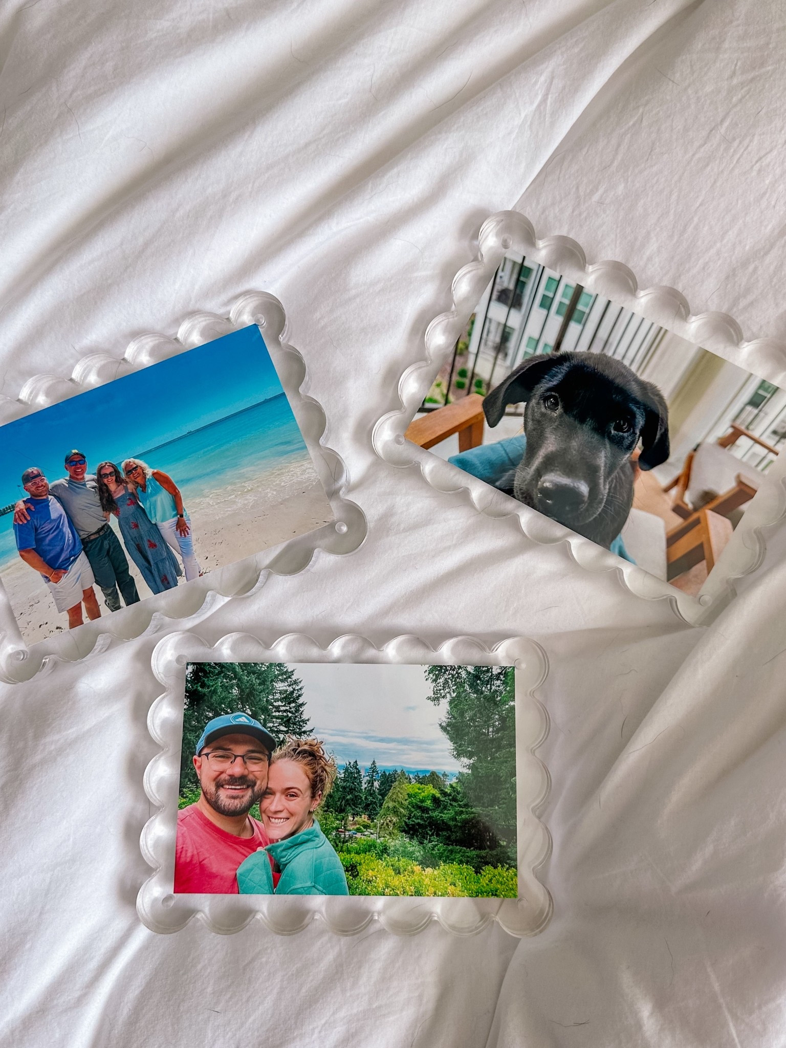 Recent home decor obsession: these acrylic scalloped picture frames!! I’ve wanted to add more pictures of us & our families to our home, and these magnetic frames are TOO cute & perfect ways to display your favorite photos!! 

#LTKHome #LTKFamily #LTKPets