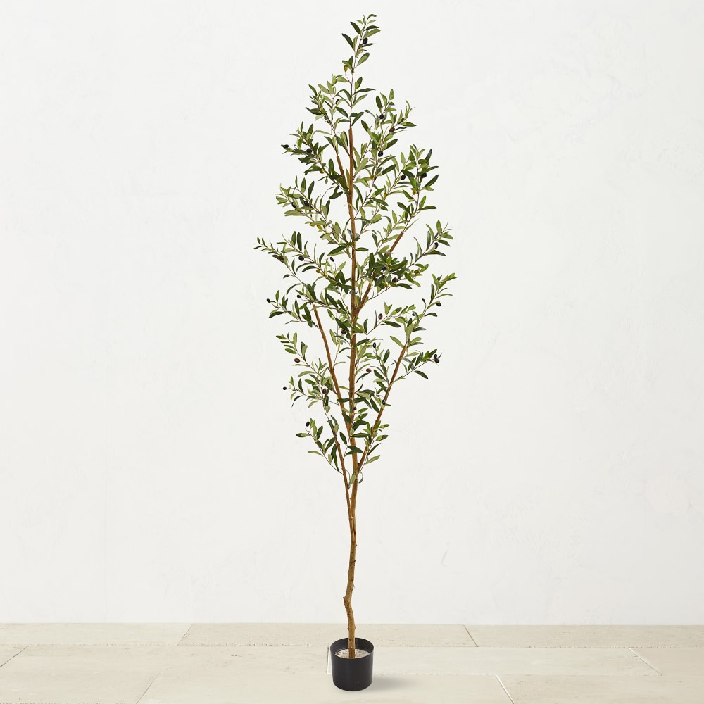 Faux Indoor Olive Tree, 82" | Williams-Sonoma