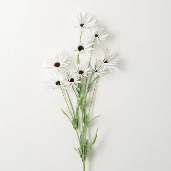 Daisy Arrangement | Wayfair North America