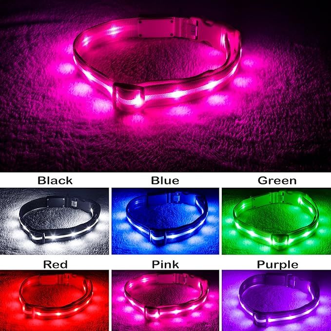 Blazin' Safety LED Dog Collar – USB Rechargeable with Water Resistant Flashing Light | Amazon (US)