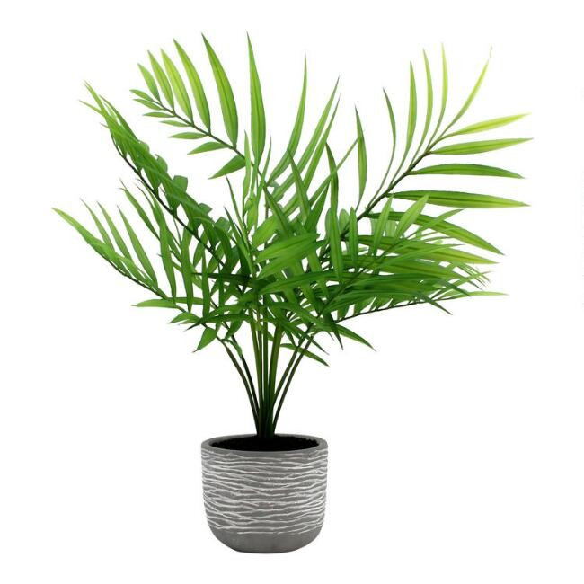 Faux Majesty Palm Tree in Cement Pot | World Market