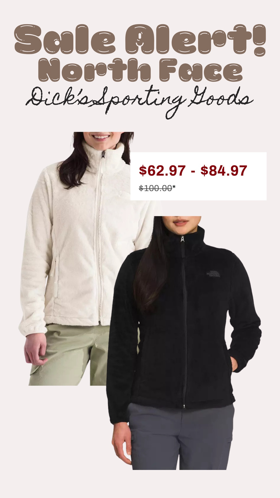 North Face Jacket Sale! 

#LTKSeasonal #LTKSaleAlert #LTKFindsUnder100