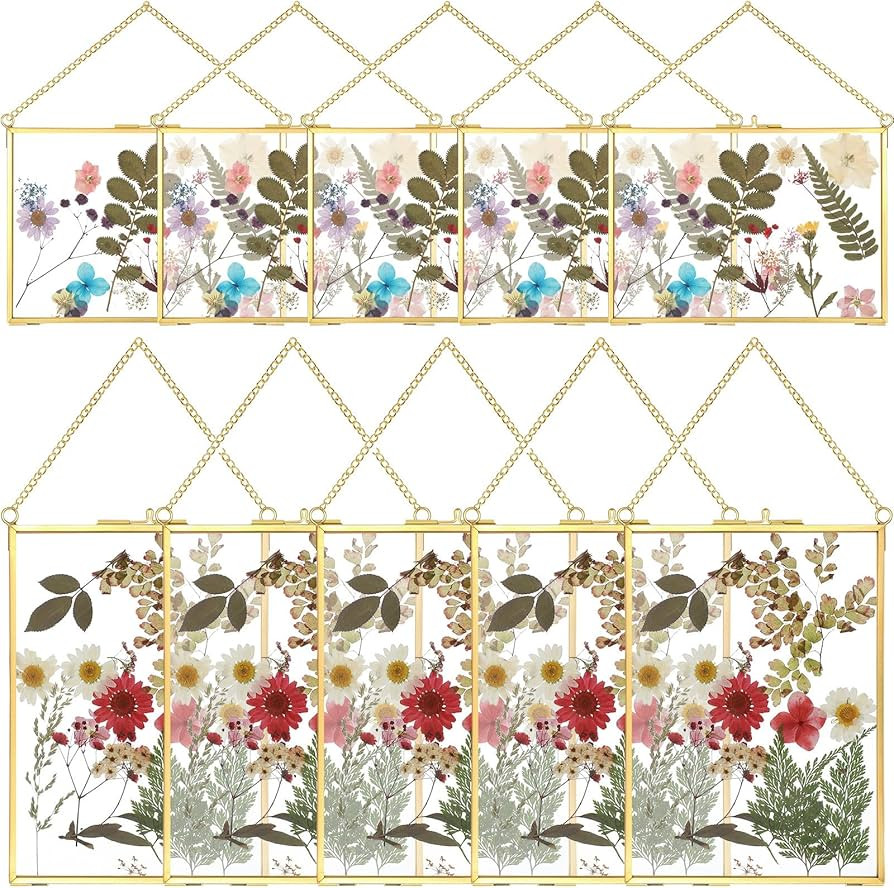 10 Pieces Pressed Flower Glass Picture Frames 5 x 7 Inch Brass Hanging Photo Frame Floating Photo... | Amazon (US)