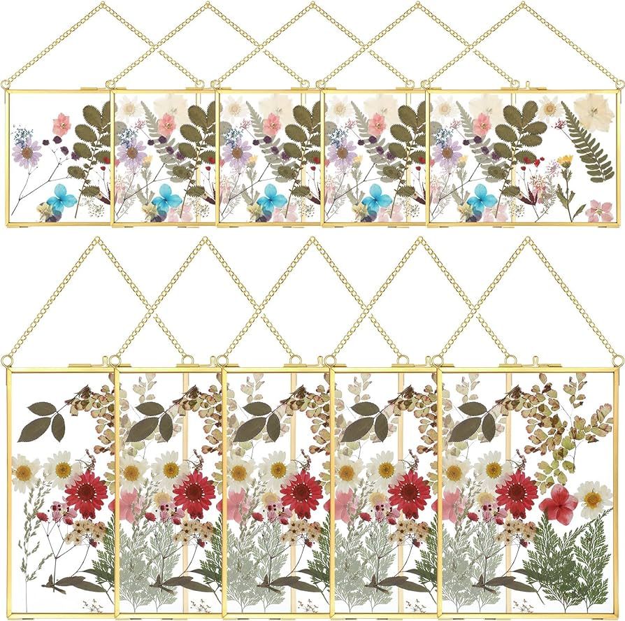 10 Pieces Pressed Flower Glass Picture Frames 5 x 7 Inch Brass Hanging Photo Frame Floating Photo... | Amazon (US)