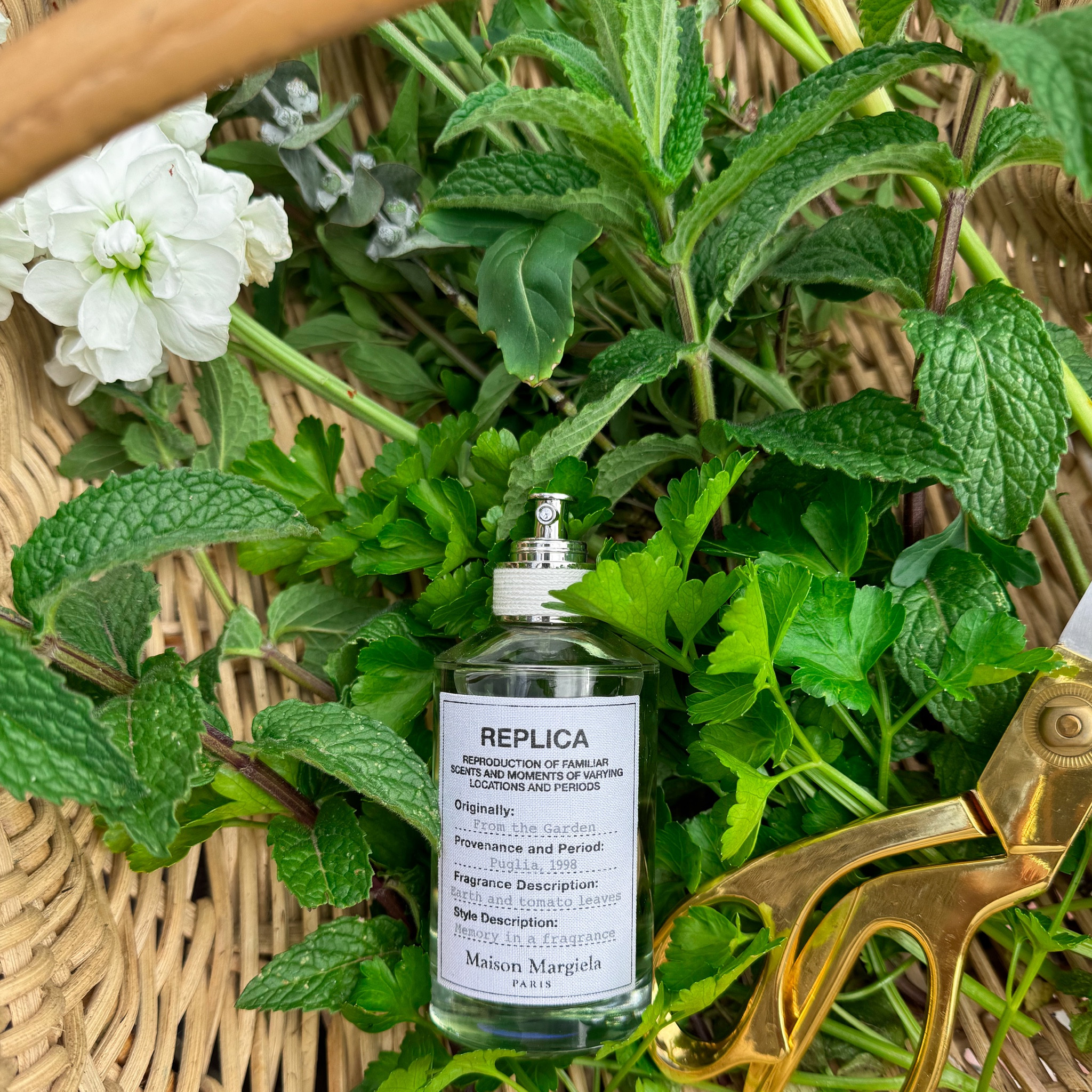 The dreamiest of Spring fragrances. 

From the Garden by Replica Maison Margiela  

#LTKbeauty #LTKstyletip #LTKover40