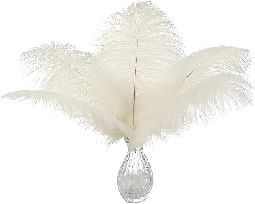 Ballinger Beige Ostrich Feathers Bulk - 24pcs 10-12inch Boho Feathers for vase，Wedding Party Ce... | Amazon (US)