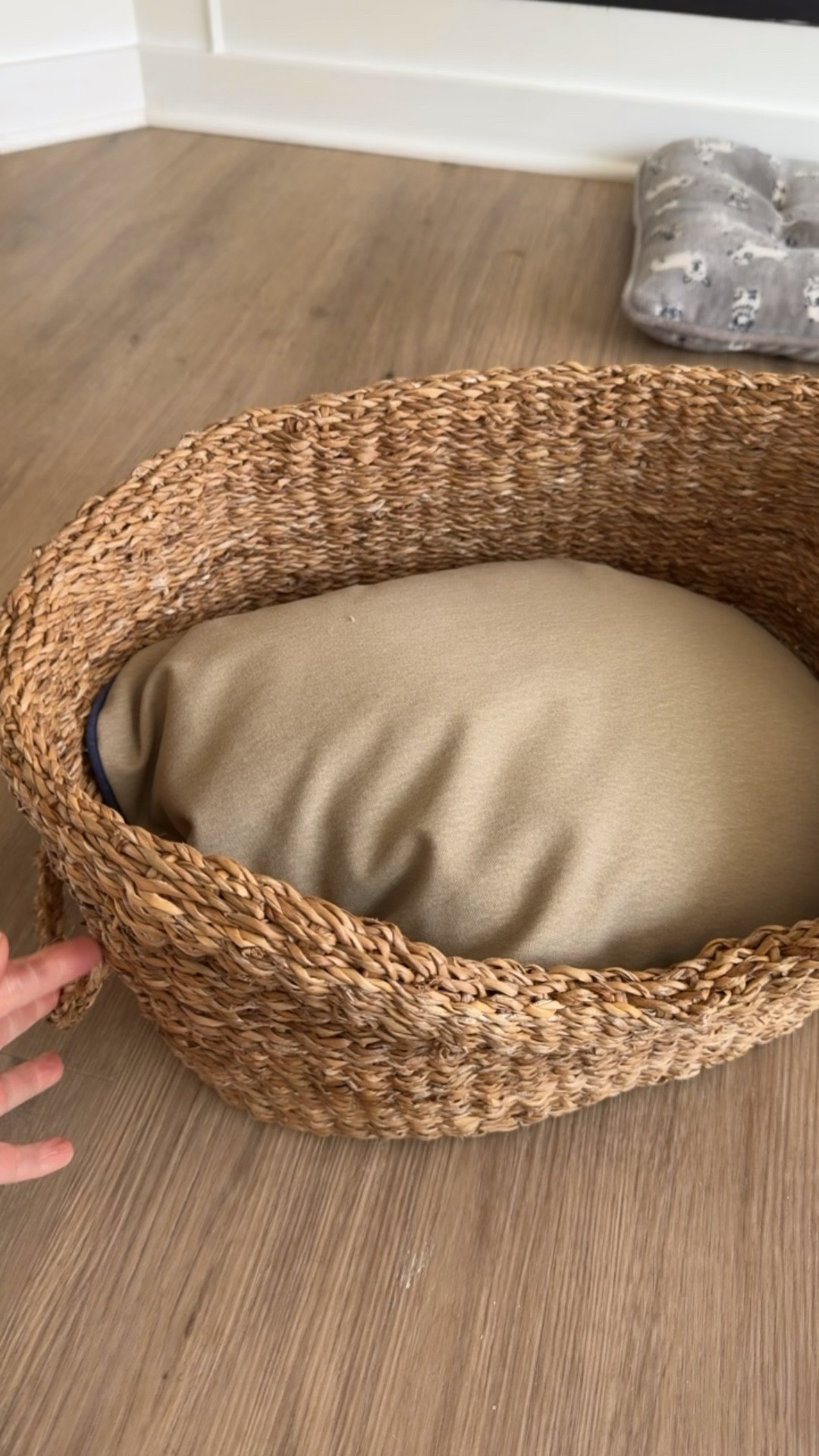 The cutest pet basket from Zara. Two sizes. This is the small 

#LTKHome #LTKOver40