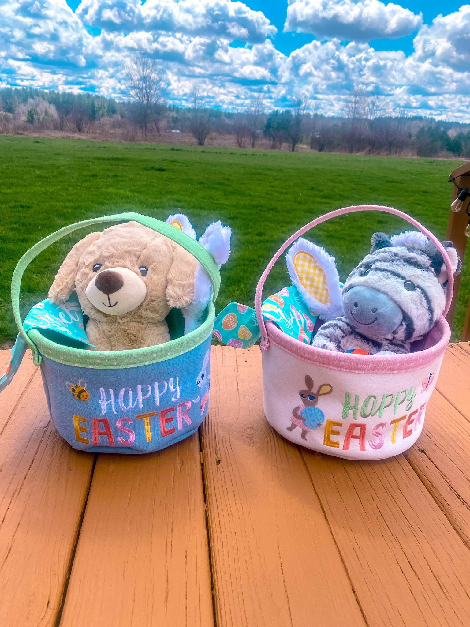 Dog Easter baskets from last year! 🐰

#LTKstyletip #LTKunder50 #LTKSeasonal