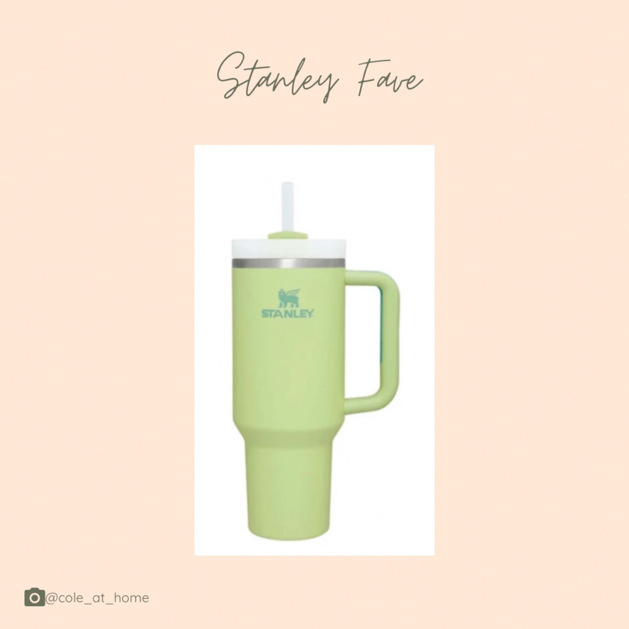 Stanley mug

#LTKFind #LTKunder100 #LTKGiftGuide