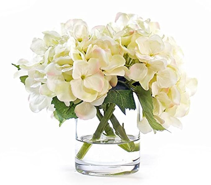 Cream Hydrangea in Cylinder Glass Vase | Amazon (US)