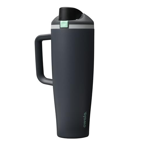 Owala FreeSip Tumbler Insulated Stainless Steel Water Bottle with Built-in Straw and Side Handle, For Travel, Work, School, and Sports, 40oz, BPA Free, Leak Proof, Foggy Tide | Amazon (US)