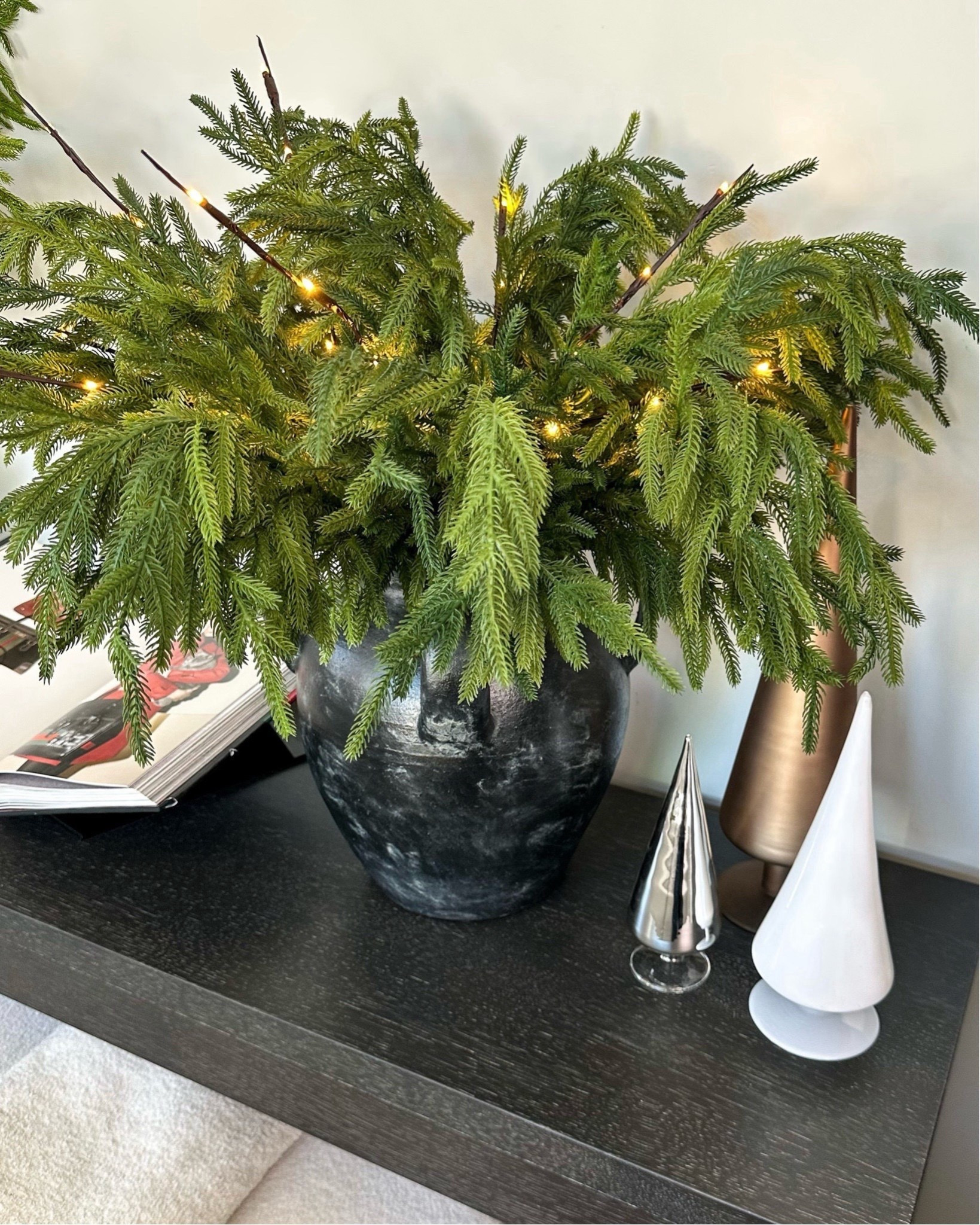 Lighter stems ..sold as a pack of 2 for $10
Elevate your holiday decor with this easy tip..holiday home 
Christmas holiday decor,
Norfolk stems 



#LTKHoliday #LTKHome #LTKStyleTip