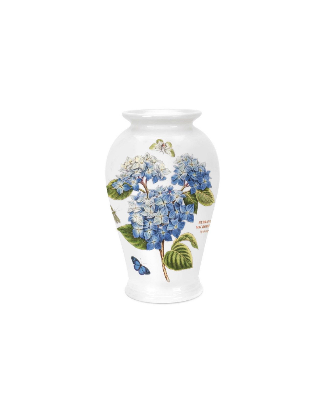 Botanic Garden 8" Canton Vase Hydrangea | David Jones (Australia & New Zealand)