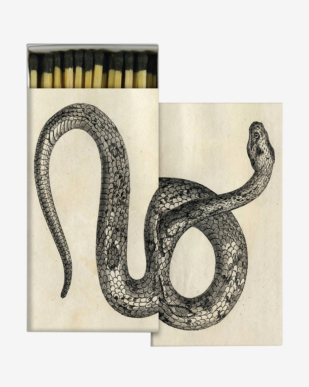 Snake Matchbox | McGee & Co.