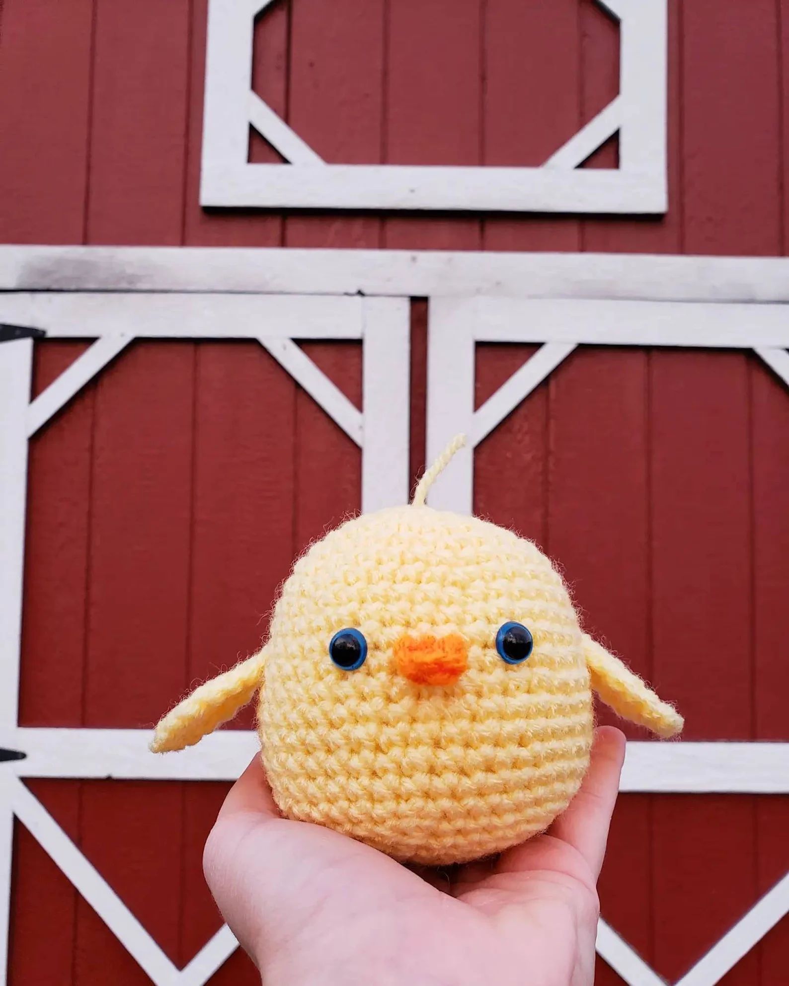 Adopt a Crochet Barn Yard Chick | Etsy (US)