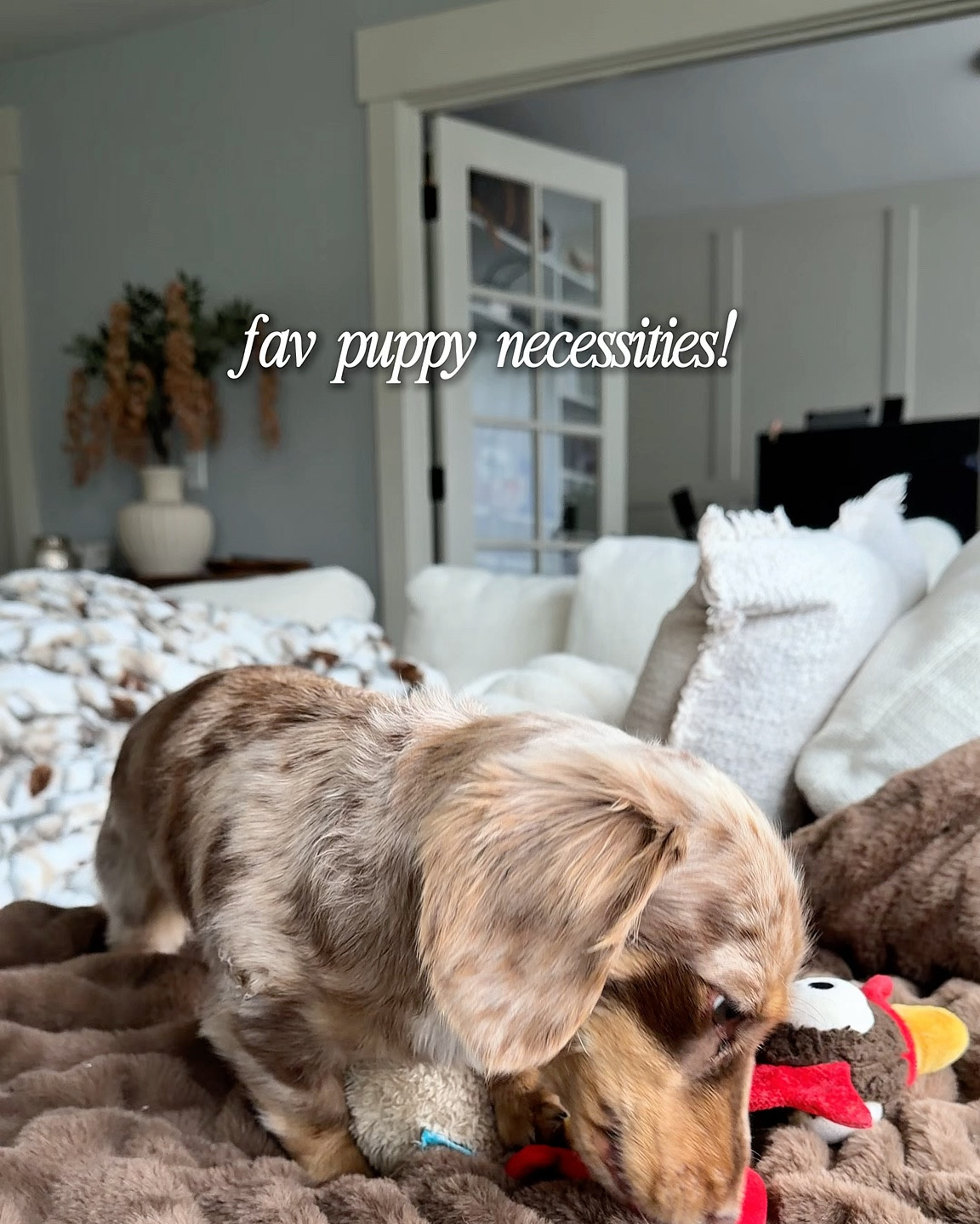 puppy necessities YOU need on the daily 🐾🦮

ranging from hypoallergenic dog wipes/bags to dog dental care to healthy and clean dog treats!

#LTKSaleAlert #LTKmomlife #LTKHome