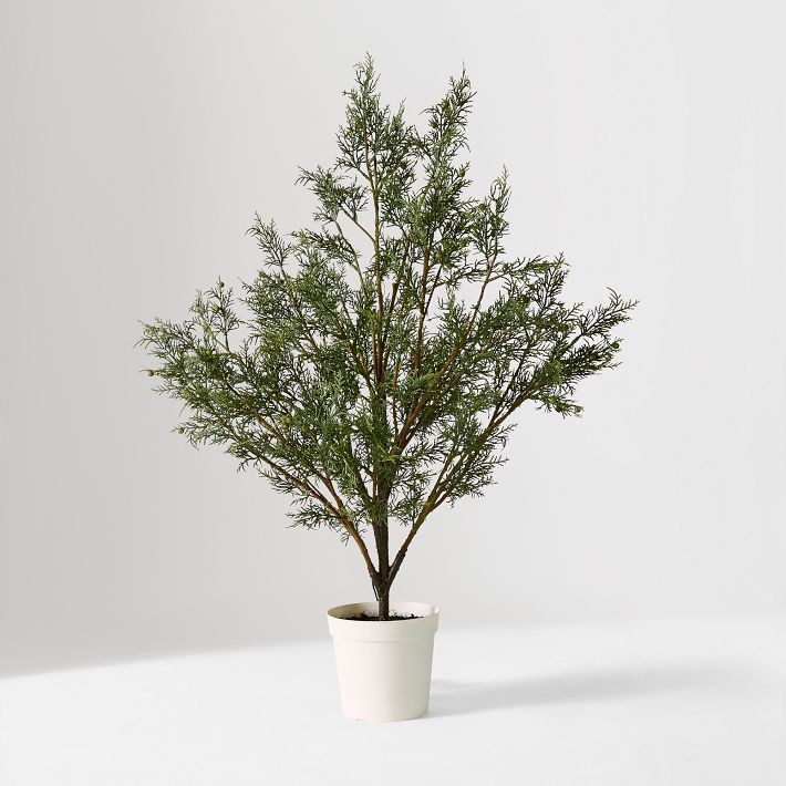 Pre-Lit Faux Potted Juniper Tabletop Tree | West Elm (US)