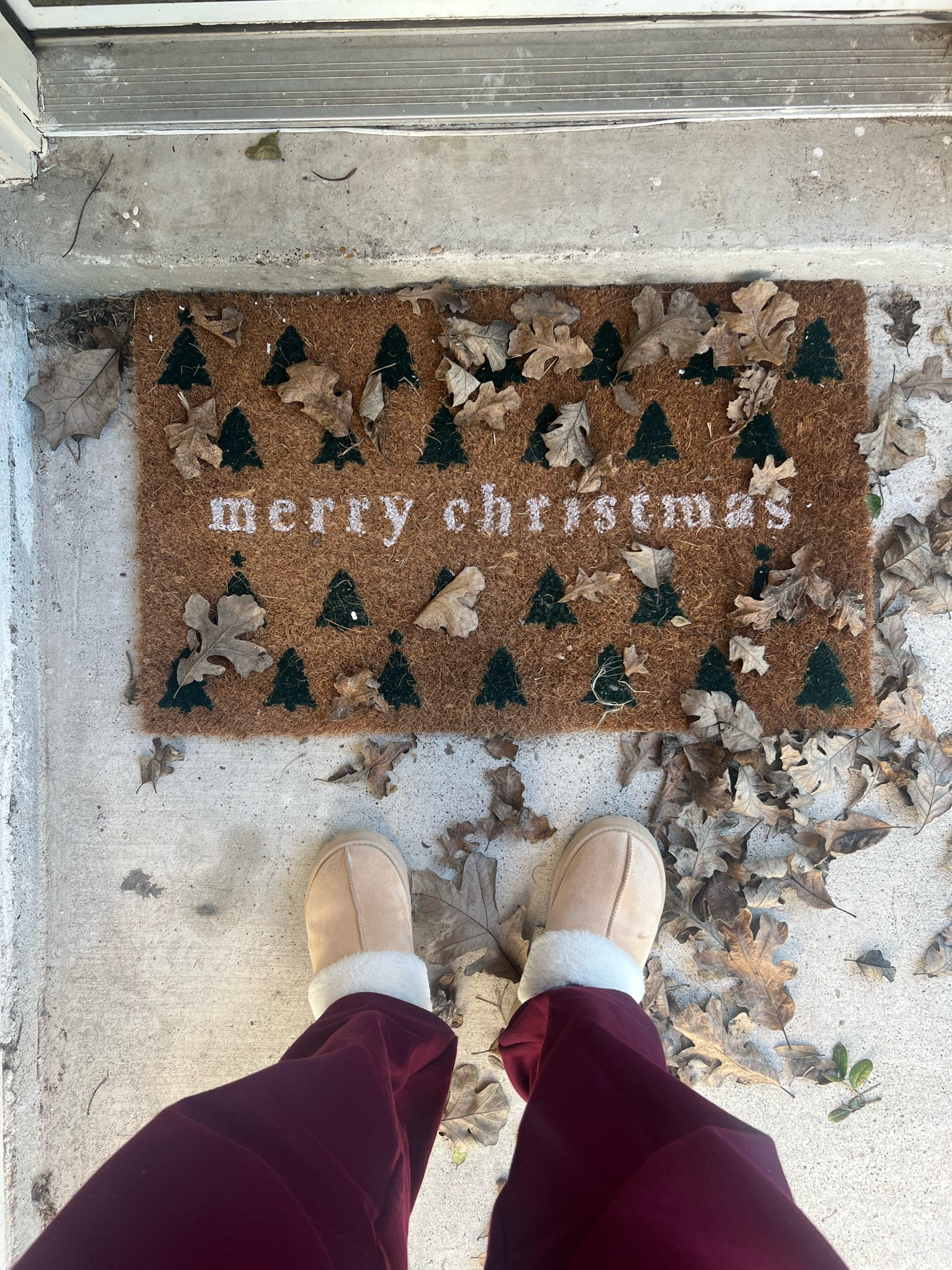 Christmas season essentials 

#LTKGiftGuide #LTKHoliday #LTKSeasonal