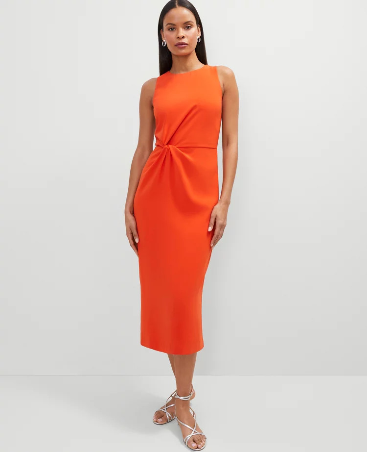 selected | Ann Taylor