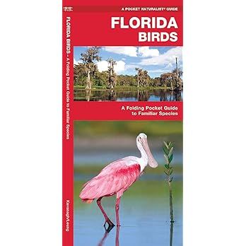 Florida Birds: A Folding Pocket Guide to Familiar Species (Wildlife and Nature Identification) | Amazon (US)