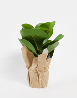 TYPO faux fig plant | ASOS (Global)