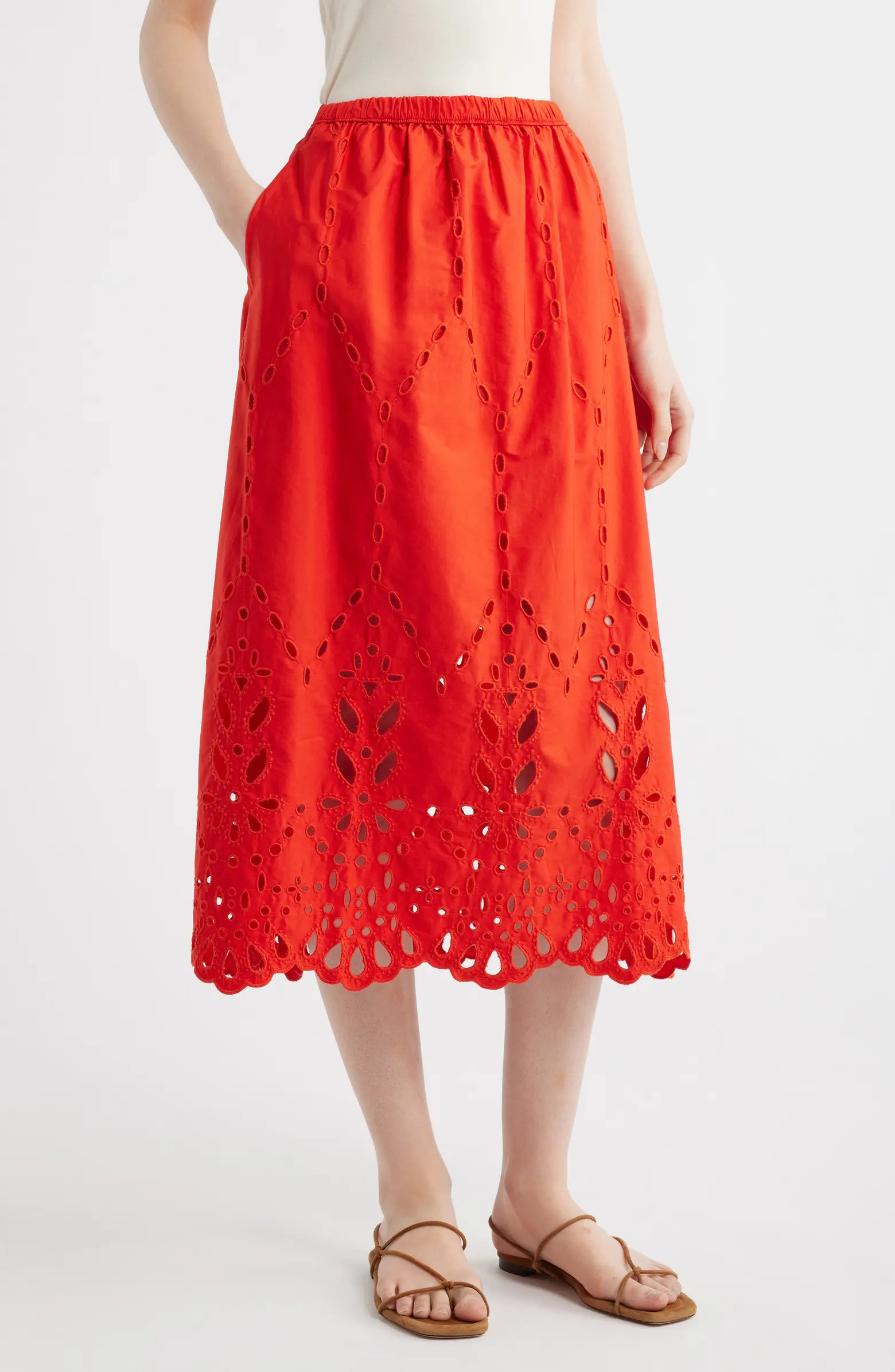 Embroidered Midi Skirt | Nordstrom