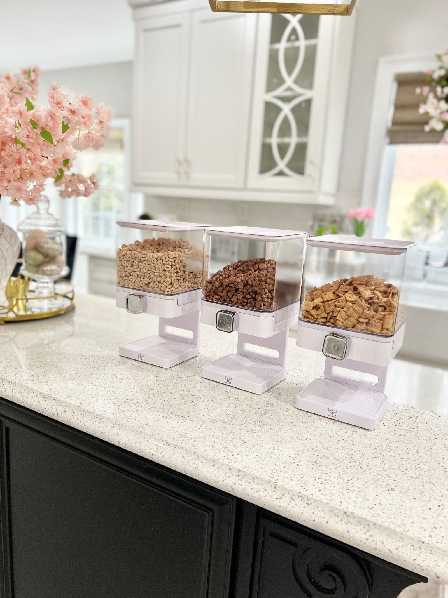 Dry food cereal dispensers from amazon 

#LTKHoliday #LTKFind #LTKunder50