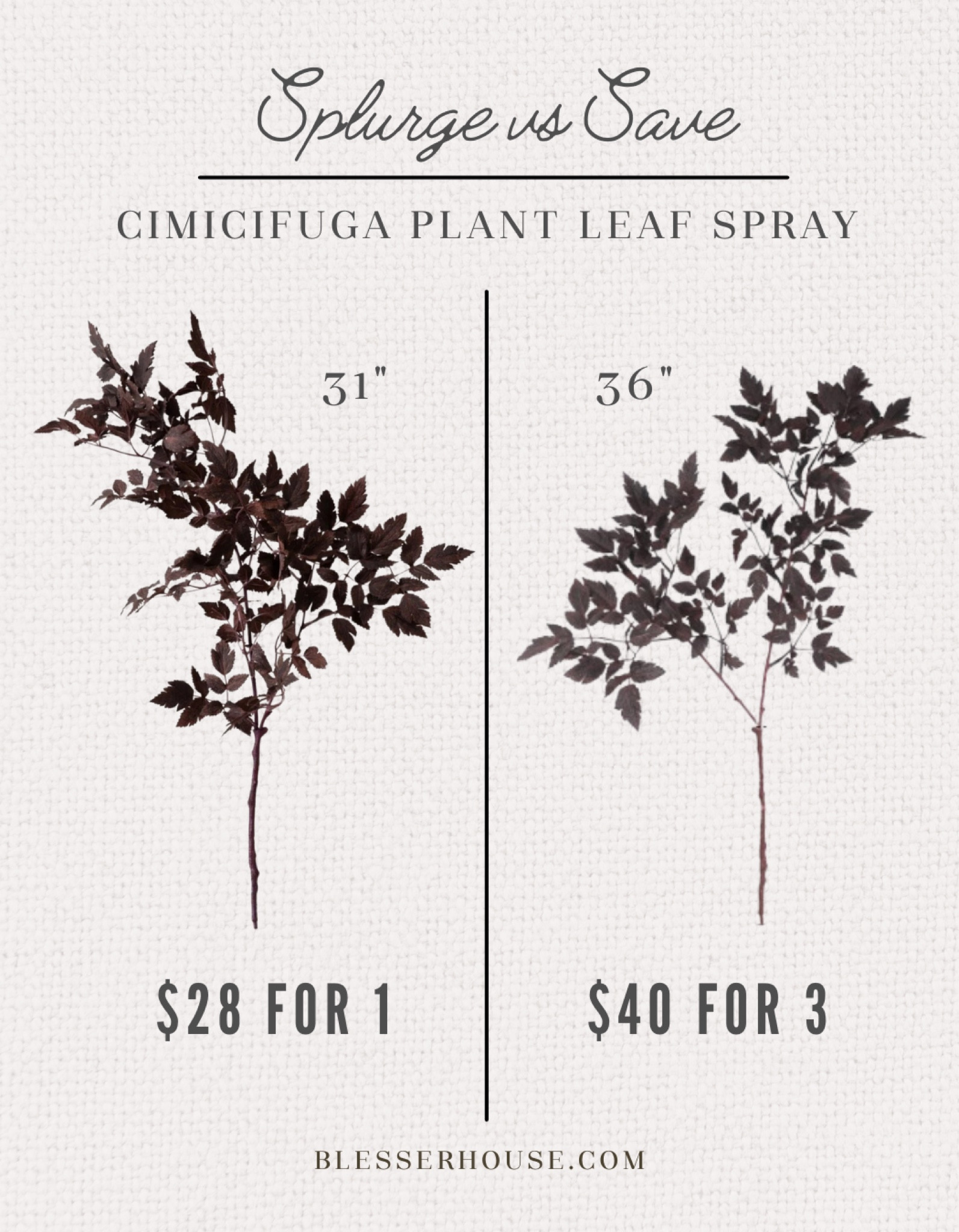Finally a more affordable option for these popular and good looking  cimicifuga plum plant leaf sprays! We splurged years ago and have gotten our money’s worth but now there’s an affordable option!!

Afloral plum stems, fall stems, vase  #ltkseasonal #ltkhome

#LTKSaleAlert #LTKSeasonal
